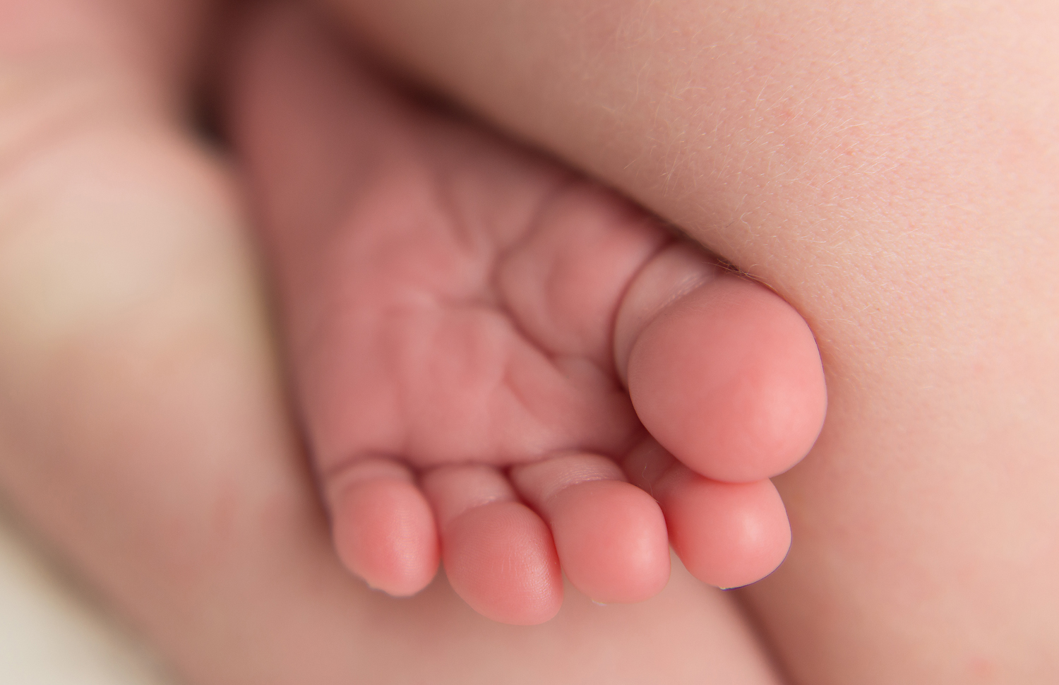 close up photo of baby feet and toes-new born baby pic- professional photography near me-parma heights ohio 44130.jpg